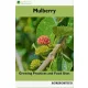 Mulberry (e-könyv)