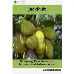 Jackfruit (e-könyv)