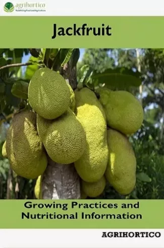 Jackfruit (e-könyv)