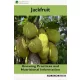 Jackfruit (e-könyv)
