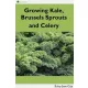 Roby Jose Ciiju - Growing Kale Leaves, Brussels Sprouts and Celery (e-könyv)