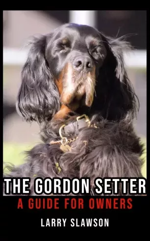 Larry Slawson - The Gordon Setter (e-könyv)