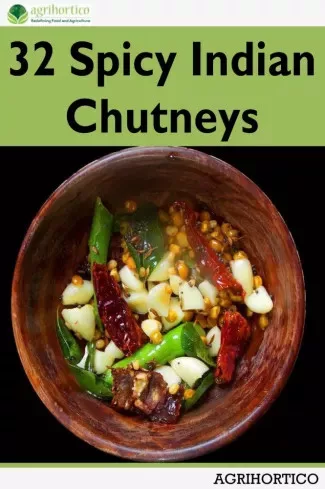 32 Spicy Indian Chutneys (e-könyv)