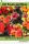 101 Fruits and Nuts (e-könyv)