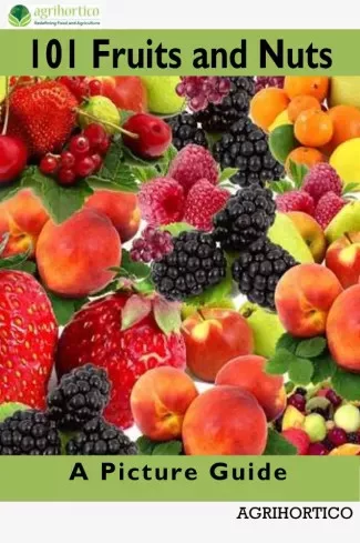 101 Fruits and Nuts (e-könyv)