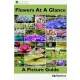 Flowers at a Glance (e-könyv)