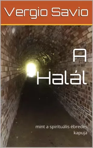 Vergio Savio - A halál (e-könyv)