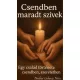 Berdóné Gubányi Nóra - Csendben maradt szívek (e-könyv)