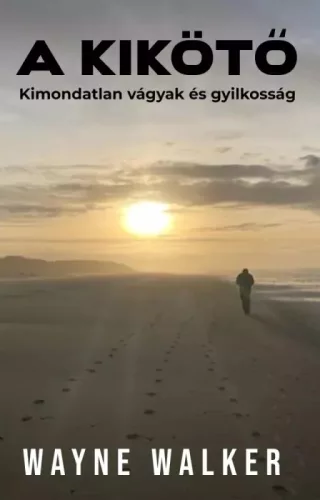 Wayne Walker - A kikötő (e-könyv)