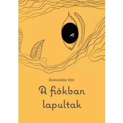 Árokszállási Edit - A fiókban lapultak (e-könyv)