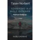 Tasev Norbert - Számadás a múlt időknek (e-könyv)