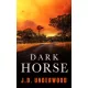 J.D. Underwood - Dark Horse (e-könyv)