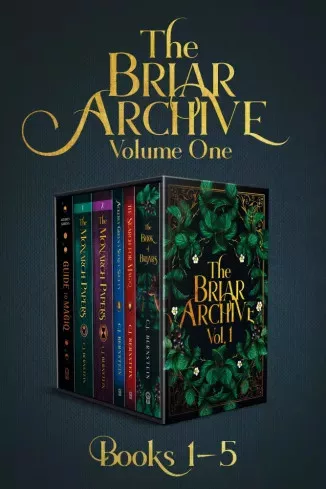 C. J. Bernstein - The Briar Archive (e-könyv)