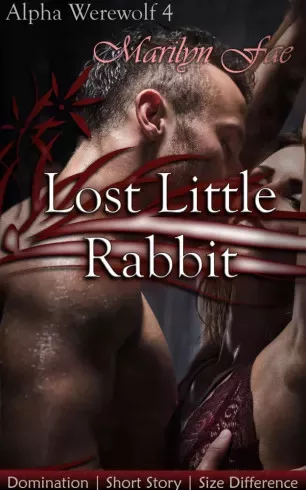 Marilyn Fae - Lost Little Rabbit (e-könyv)