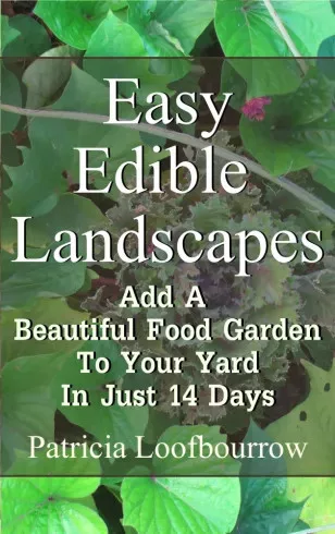 Patricia Loofbourrow - Easy Edible Landscapes (e-könyv)
