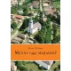 Béres M. Léna - Menni vagy maradni? (e-könyv)