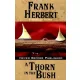 Frank Herbert - A Thorn in the Bush (e-könyv)