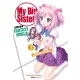 Tsuyoshi Fujitaka - My Big Sister Lives in a Fantasy World: Volume 2 (e-könyv)