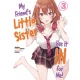 My Friend's Little Sister Has It In for Me! Volume 3 (e-könyv)