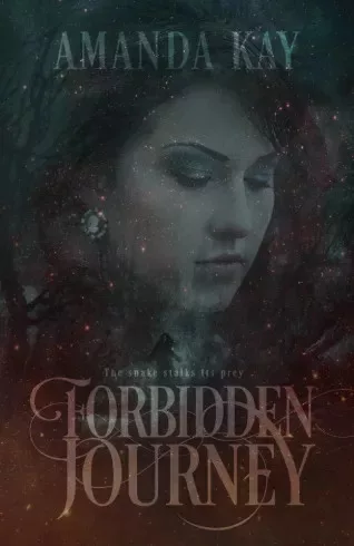 Amanda Kay - Forbidden Journey (e-könyv)