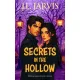 J.L. Jarvis - Secrets in the Hollow (e-könyv)