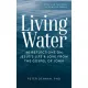 Peter DeHaan - Living Water (e-könyv)