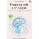 Simone Janson - Umgang mit der Angst (e-könyv)