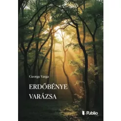 George Varga - Erdőbénye varázsa (e-könyv)