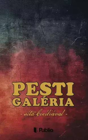 Barna Zsolt - Pesti galéria (e-könyv)