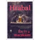 Bohumil Hrabal - Én és a macskáim (e-könyv)