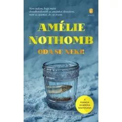 Amélie Nothomb - Oda se neki! (e-könyv)