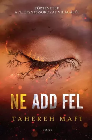 Tahereh Mafi - Ne add fel (e-könyv)
