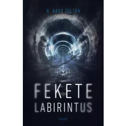 N. Nagy Zoltán - Fekete labirintus (e-könyv)