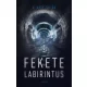 N. Nagy Zoltán - Fekete labirintus (e-könyv)