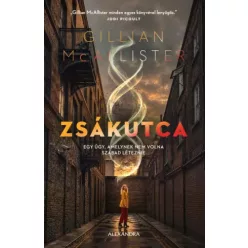 Gillian McAllister - Zsákutca (e-könyv)
