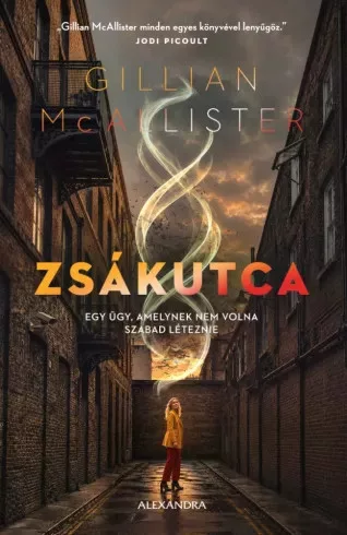 Gillian McAllister - Zsákutca (e-könyv)