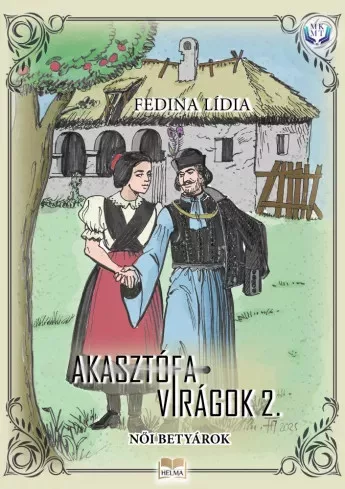 Fedina Lídia - Ne tegyétek ti leányok (e-könyv)