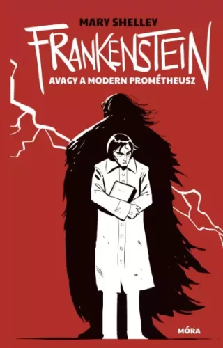 Mary Shelley - Frankenstein, avagy a modern Prométheusz (e-könyv)