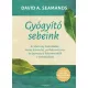David Seamands - Gyógyító sebeink (e-könyv)