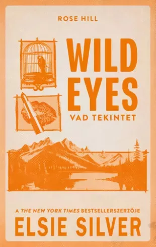 Elsie Silver - Wild Eyes – Vad tekintet (e-könyv)