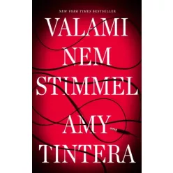 Amy Tintera - Valami nem stimmel (e-könyv)