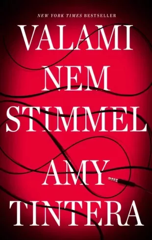 Amy Tintera - Valami nem stimmel (e-könyv)