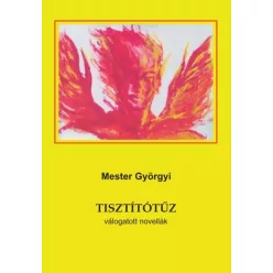 Mester Györgyi - Tisztítótűz (e-könyv)