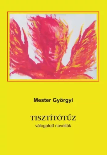 Mester Györgyi - Tisztítótűz (e-könyv)