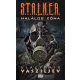 Vlagyimir Vasziljev - S.T.A.L.K.E.R. - Halálos zóna (e-könyv)