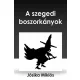 Jósika Miklós - A szegedi boszorkányok (e-könyv)