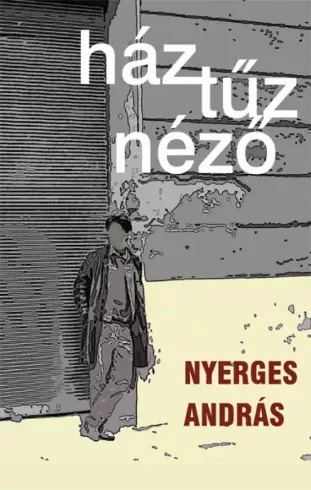 Nyerges András - Háztűznéző (e-könyv)