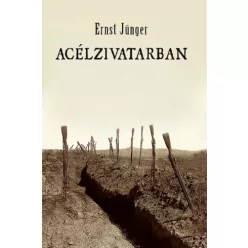 Ernst Jünger - Acélzivatarban (e-könyv)