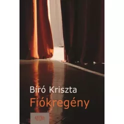 Bíró Kriszta - Fiókregény (e-könyv)
