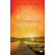 Tóth Gábor Ákos - Édesvízi mediterrán (e-könyv)